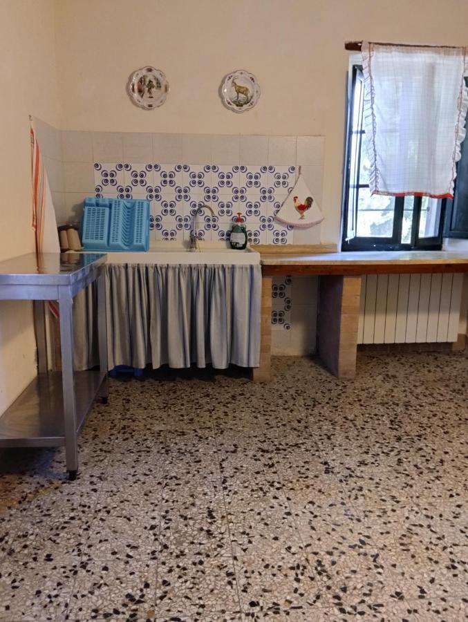 Rosmarino Casale Citta della Pieve
