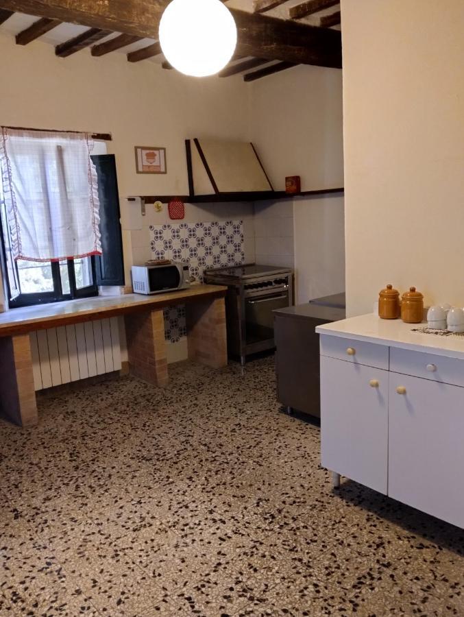 Rosmarino Casale *