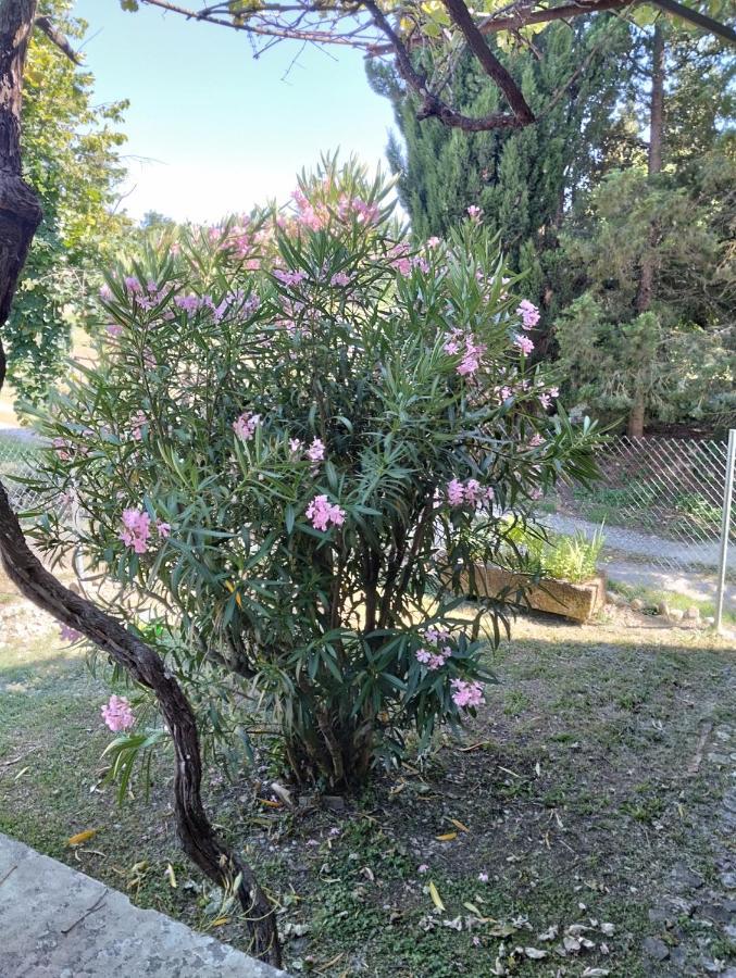 Holiday home Rosmarino Casale Citta della Pieve