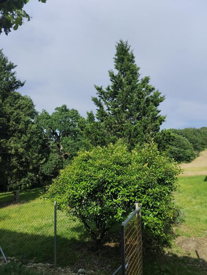 Rosmarino Casale Holiday home Citta della Pieve